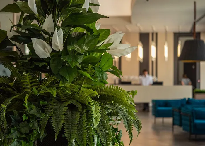 Aqua Paradise & Aqua Park